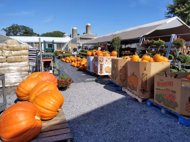 Mackeyville Greenhouse and Marketplace photo 1