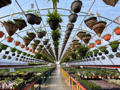 Mackeyville Greenhouse and Marketplace photo 2