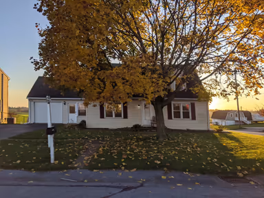 Manheim photo 2