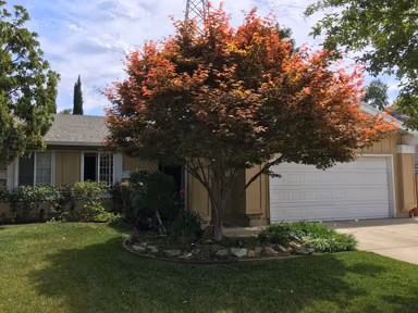 City of Morgan Hill photo 1