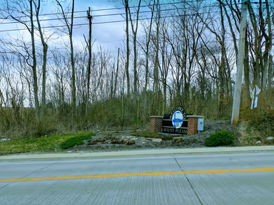 Mount Pleasant photo 1