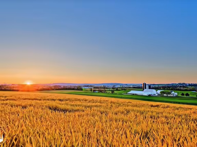 New Holland photo 4