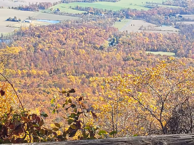 Newburg photo 1