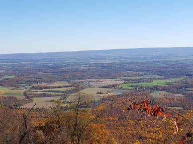 Newburg photo 2