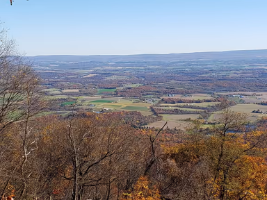 Newburg photo 3