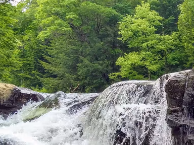 Ohiopyle photo 2