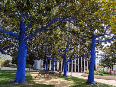 City of Palo Alto City Hall photo 1