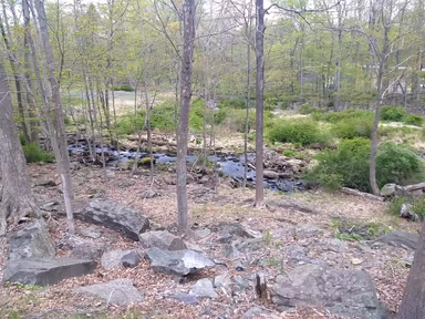 Penn Estates Welcome Center photo 2