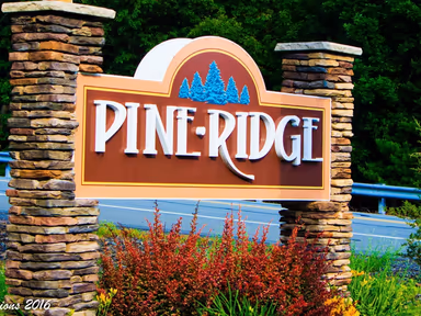 Pine Ridge Community Association photo 3