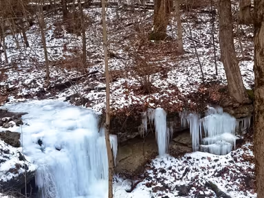 Rices Landing photo 3