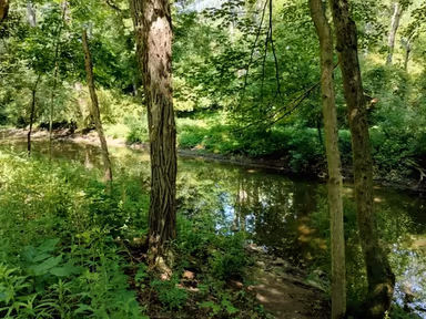 Spruce Creek Township photo 3