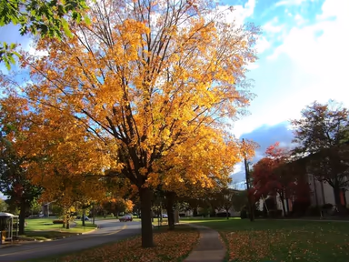 State College photo 2