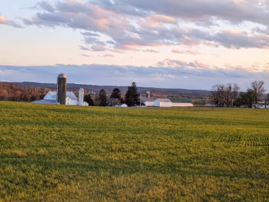 Strasburg photo 3