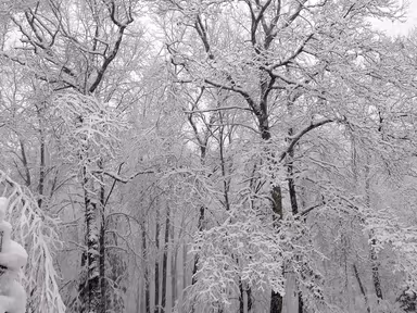 Tafton photo 1