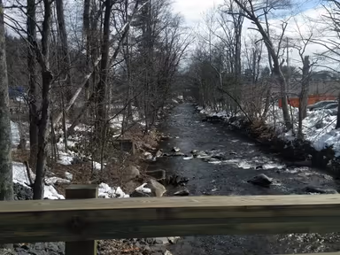 Tannersville photo 4