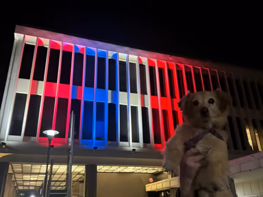 Torrance City Hall photo 1