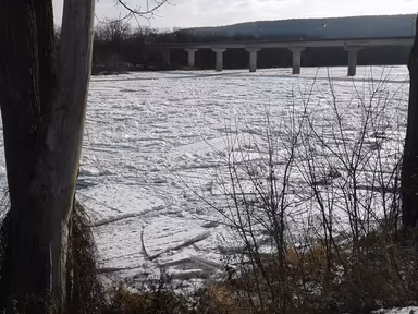 Towanda photo 4