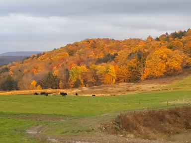 Union Dale photo 1