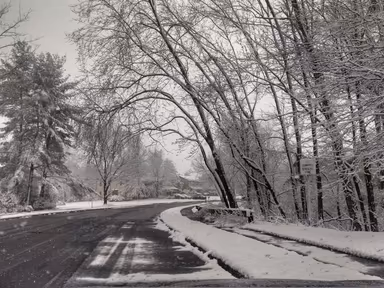 Yardley photo 2