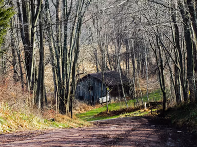 Zion Grove photo 1