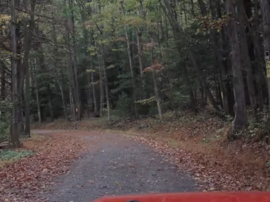 Zion Grove photo 2