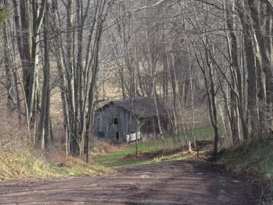 Zion Grove photo 3