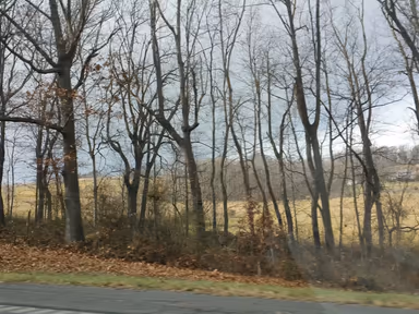Alleghany County photo 1