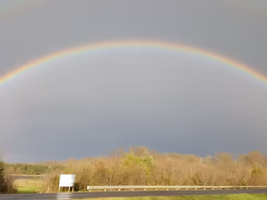 Bealeton photo 1