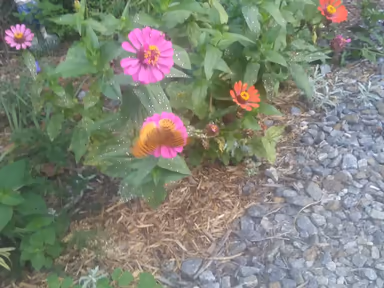 Collinsville photo 3