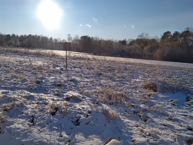 Dinwiddie photo 2