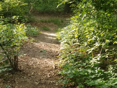 George Mason photo 1