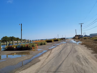 Greenbackville photo 1