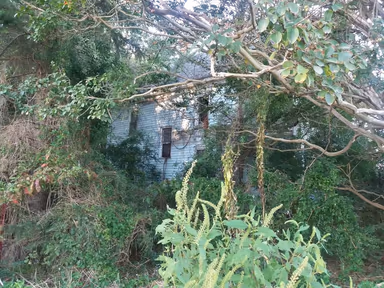 Horntown photo 1