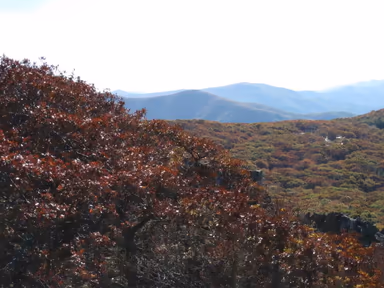 Linville photo 4