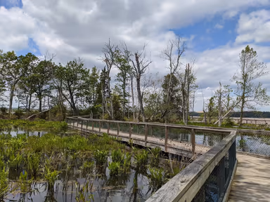 Mason Neck State Park photo 1