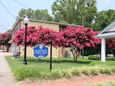 Town Hall photo 2