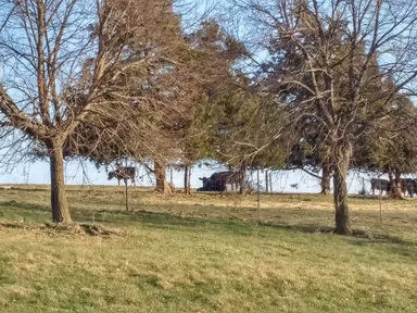 Mount Sidney photo 1
