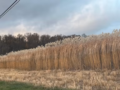 Rockingham County, VA photo 2