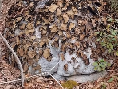 Rocky Gap photo 4