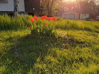 Rustburg photo 4