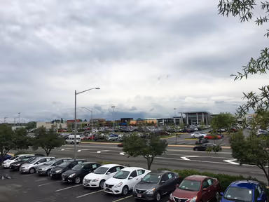 Springfield photo 1