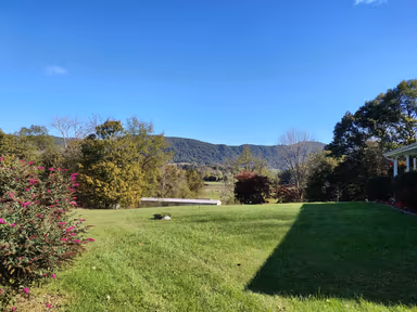 Stickleyville photo 1