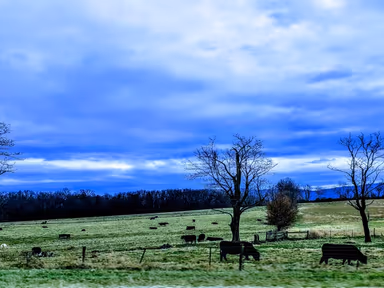 Stuarts Draft photo 2