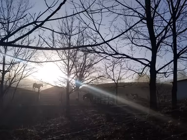 Sugar Grove photo 1