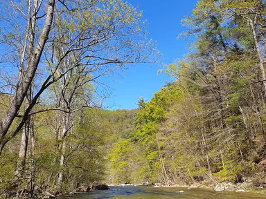 Tye River photo 2