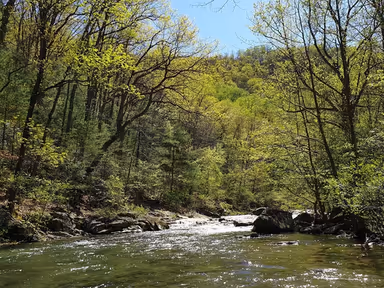 Tye River photo 3